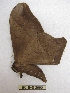  ( - BC-EvS 2990)  @12 [ ] Copyright (2012) Eric van Schayck Research Collection of Eric Van Schayck