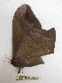  ( - BC-EvS 2993)  @12 [ ] Copyright (2012) Eric van Schayck Research Collection of Eric Van Schayck