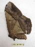  ( - BC-EvS 2995)  @12 [ ] Copyright (2012) Eric van Schayck Research Collection of Eric Van Schayck