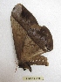  ( - BC-EvS 2996)  @12 [ ] Copyright (2012) Eric van Schayck Research Collection of Eric Van Schayck