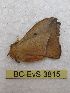  ( - BC-EvS 3815)  @12 [ ] No Rights Reserved (2014) Eric van Schayck Unspecified