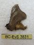  ( - BC-EvS 3831)  @13 [ ] No Rights Reserved (2014) Eric van Schayck Unspecified