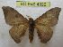  ( - BC-EvS 4022)  @11 [ ] No Rights Reserved (2014) Eric van Schayck Unspecified