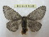  ( - BC-EvS 1536)  @13 [ ] Copyright (2010) Eric Van Schayck Research Collection of Eric Van Schayck
