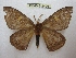  ( - BC-EvS 2426)  @13 [ ] Copyright (2010) Eric Van Schayck Research Collection of Eric Van Schayck