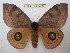  ( - BC-EvS 2436)  @14 [ ] Copyright (2010) Eric Van Schayck Research Collection of Eric Van Schayck
