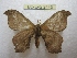  ( - BC-EvS 2443)  @13 [ ] Copyright (2010) Eric Van Schayck Research Collection of Eric Van Schayck