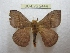  ( - BC-EvS 2444)  @13 [ ] Copyright (2010) Eric Van Schayck Research Collection of Eric Van Schayck