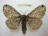  ( - BC-EvS 2488)  @11 [ ] Copyright (2012) Eric van Schayck Unspecified
