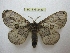  ( - BC-EvS 2489)  @13 [ ] Copyright (2012) Eric van Schayck Unspecified