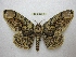  ( - BC-EvS 2513)  @14 [ ] Copyright (2012) Eric van Schayck Unspecified