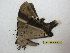  ( - BC-EvS 3147)  @12 [ ] No Rights Reserved (2015) Eric van Schayck Unspecified