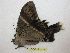  ( - BC-EvS 4412)  @12 [ ] No Rights Reserved (2015) Eric van Schayck Unspecified