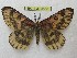  ( - BC-EvS 4565)  @11 [ ] © (2016) Eric van Schayck Unspecified