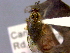  ( - CCDB-21342-D06)  @12 [ ] CreativeCommons - Attribution (2012) CBG Photography Group Pacific Forestry Centre