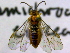  ( - CCDB-21342-D09)  @13 [ ] CreativeCommons - Attribution (2012) CBG Photography Group Pacific Forestry Centre