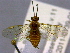  ( - CCDB-21342-H06)  @12 [ ] CreativeCommons - Attribution (2012) CBG Photography Group Pacific Forestry Centre
