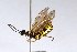  ( - USNMENT01734534)  @11 [ ] No Rights Reserved (2021) Smithsonian Institution, National Museum of Natural History Smithsonian Institution, National Museum of Natural History