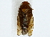  ( - BIOUG85498-G05)  @11 [ ] CreativeCommons - Attribution (2022) CBG Photography Group Centre for Biodiversity Genomics