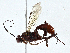  ( - BIOUG97792-B10)  @11 [ ] CreativeCommons - Attribution (2023) CBG Photography Group Centre for Biodiversity Genomics