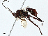  ( - BIOUG97792-B11)  @11 [ ] CreativeCommons - Attribution (2023) CBG Photography Group Centre for Biodiversity Genomics