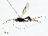  ( - BIOUG99484-E02)  @11 [ ] CreativeCommons - Attribution (2023) CBG Photography Group Centre for Biodiversity Genomics