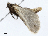  ( - CBG-A01227-B06)  @11 [ ] CreativeCommons - Attribution (2023) CBG Photography Group Centre for Biodiversity Genomics