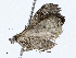  ( - CBG-A01227-B09)  @11 [ ] CreativeCommons - Attribution (2023) CBG Photography Group Centre for Biodiversity Genomics