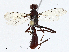  ( - CBG-A01227-D02)  @11 [ ] CreativeCommons - Attribution (2023) CBG Photography Group Centre for Biodiversity Genomics