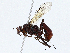  ( - CBG-A01227-D08)  @11 [ ] CreativeCommons - Attribution (2023) CBG Photography Group Centre for Biodiversity Genomics