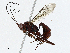  ( - CBG-A01227-E01)  @11 [ ] CreativeCommons - Attribution (2023) CBG Photography Group Centre for Biodiversity Genomics