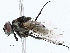  ( - CBG-A01228-B05)  @11 [ ] CreativeCommons - Attribution (2023) CBG Photography Group Centre for Biodiversity Genomics