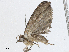  ( - CBG-A04446-D04)  @11 [ ] CreativeCommons - Attribution (2023) CBG Photography Group Centre for Biodiversity Genomics