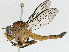  ( - CBG-A04446-G01)  @11 [ ] CreativeCommons - Attribution (2023) CBG Photography Group Centre for Biodiversity Genomics