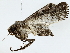  ( - BIOUG85245-F08)  @11 [ ] CreativeCommons - Attribution (2022) CBG Photography Group Centre for Biodiversity Genomics