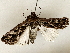  ( - BIOUG91378-H01)  @11 [ ] CreativeCommons - Attribution (2022) CBG Photography Group Centre for Biodiversity Genomics