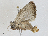  ( - CBG-A01162-D05)  @11 [ ] CreativeCommons - Attribution (2023) CBG Photography Group Centre for Biodiversity Genomics