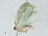  ( - CBG-A01162-F12)  @11 [ ] CreativeCommons - Attribution (2023) CBG Photography Group Centre for Biodiversity Genomics
