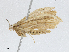  ( - CBG-A01163-F05)  @11 [ ] CreativeCommons - Attribution (2023) CBG Photography Group Centre for Biodiversity Genomics