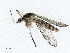  ( - CBG-A04435-H05)  @11 [ ] CreativeCommons - Attribution (2023) CBG Photography Group Centre for Biodiversity Genomics