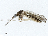  ( - CBG-A04435-H07)  @11 [ ] CreativeCommons - Attribution (2023) CBG Photography Group Centre for Biodiversity Genomics