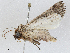  ( - CBG-A04455-E07)  @11 [ ] CreativeCommons - Attribution (2023) CBG Photography Group Centre for Biodiversity Genomics