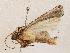  ( - CBG-A04533-A04)  @11 [ ] CreativeCommons - Attribution (2023) CBG Photography Group Centre for Biodiversity Genomics