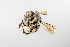  ( - SBCTA2022JUN14e)  @11 [ ] by-nc-nd (2024) Elijah Goodwin Stone Barns Center