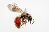  ( - SBCTA2022JUN28c)  @11 [ ] by-nc-nd (2024) Elijah Goodwin Stone Barns Center