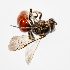  ( - SBCTA2022JUN28c)  @11 [ ] by-nc-nd (2024) Elijah Goodwin Stone Barns Center
