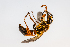  ( - SBCTA2022Jul12D)  @11 [ ] by-nc-nd (2024) Elijah Goodwin Stone Barns Center
