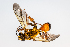  ( - SBCTA2022Jul12D)  @11 [ ] by-nc-nd (2024) Elijah Goodwin Stone Barns Center