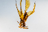  ( - SBCTA2022Jun21C)  @11 [ ] by-nc-nd (2024) Elijah Goodwin Stone Barns Center