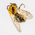  ( - SBCTA2023APR3d)  @11 [ ] by-nc-nd (2024) Elijah Goodwin Stone Barns Center